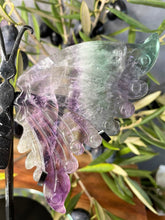 Load image into Gallery viewer, Fluorite Crystal Butterfly Wings Gemstone Home Décor
