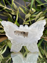 Load image into Gallery viewer, Agate Butterfly Carving With Sparkling Druzy
