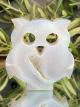 Load image into Gallery viewer, Captivating Agate Crystal Owl Carving
