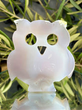 Load image into Gallery viewer, Captivating Agate Crystal Owl Carving
