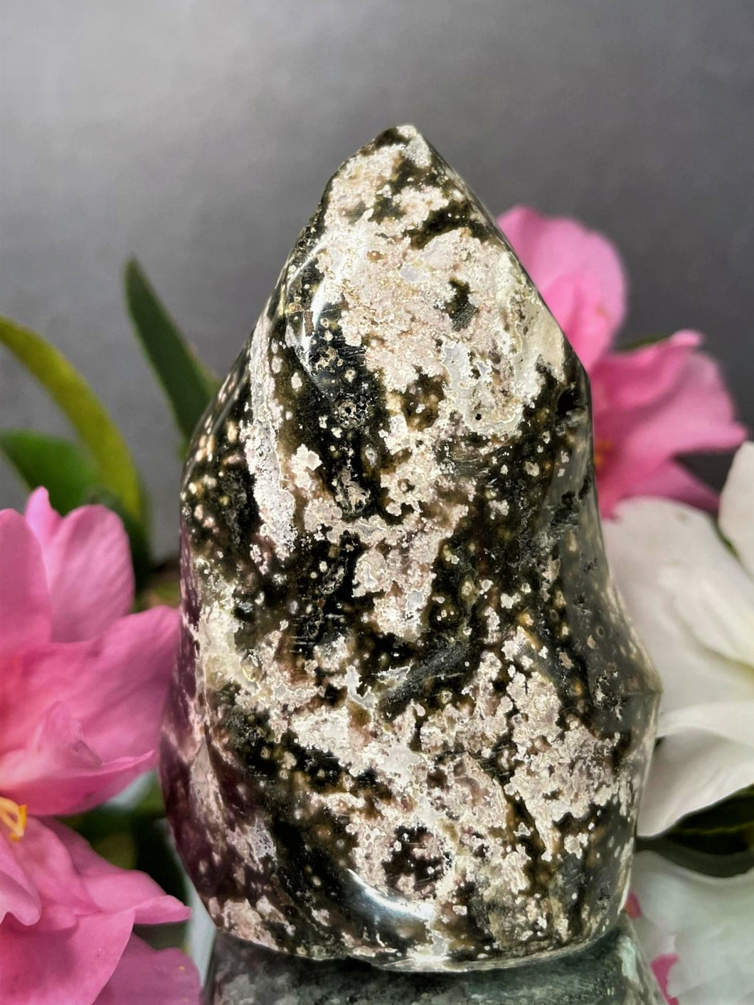Ocean Jasper Crystal Freeform Healing Stone Home Décor