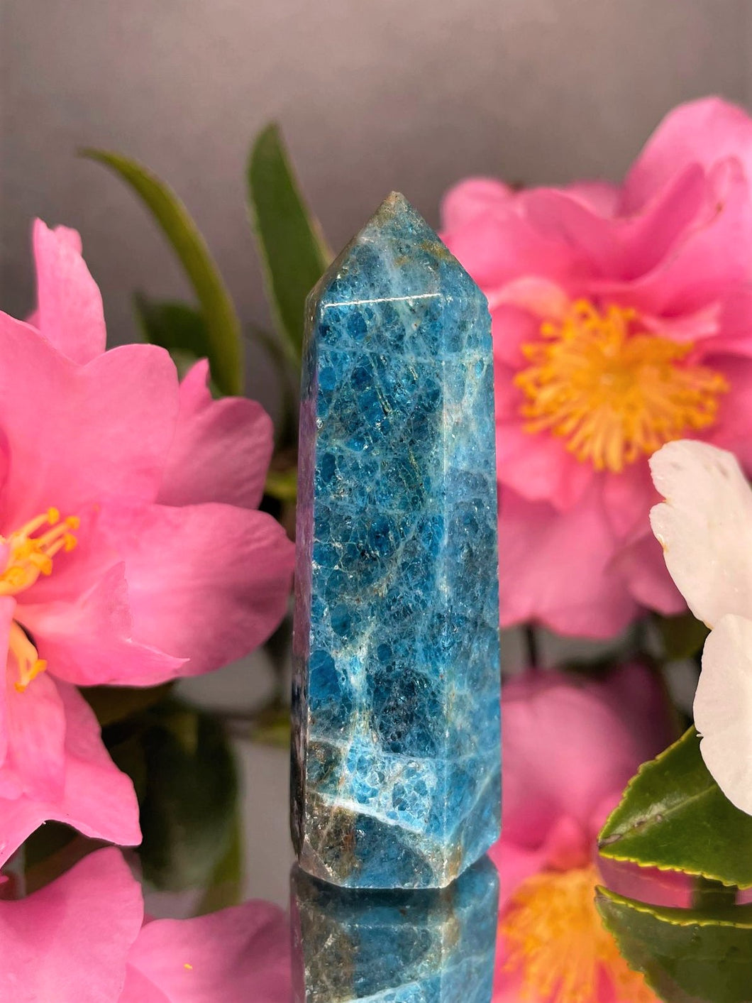 Natural Apatite Crystal Tower Chakra Healing