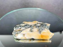 Load image into Gallery viewer, Stunning Small Ocean Jasper Freeform
