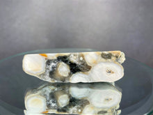 Load image into Gallery viewer, Stunning Small Ocean Jasper Freeform
