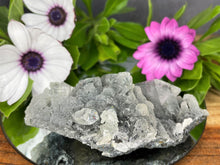 Load image into Gallery viewer, Stunning Grey Apophyllite Crystal Cluster

