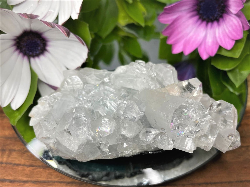 Stunning Apophyllite Crystal Cluster