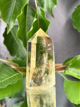 Load image into Gallery viewer, Prosperity Yellow Citrine Quartz Crystal Tower Point
