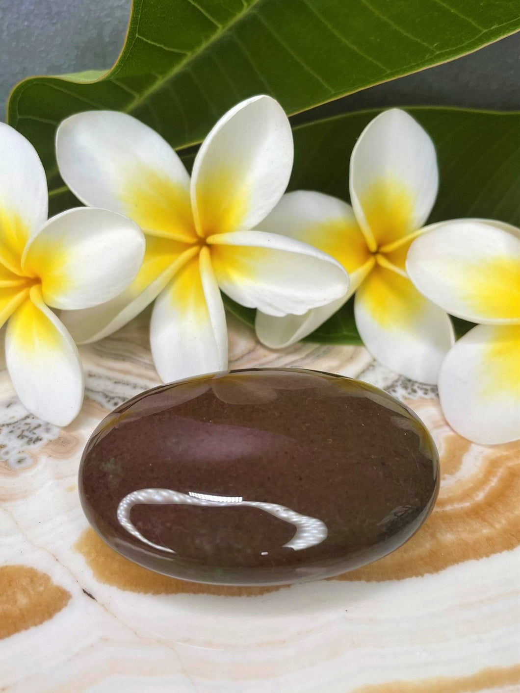 Brown Jasper Palm Stone Crystal