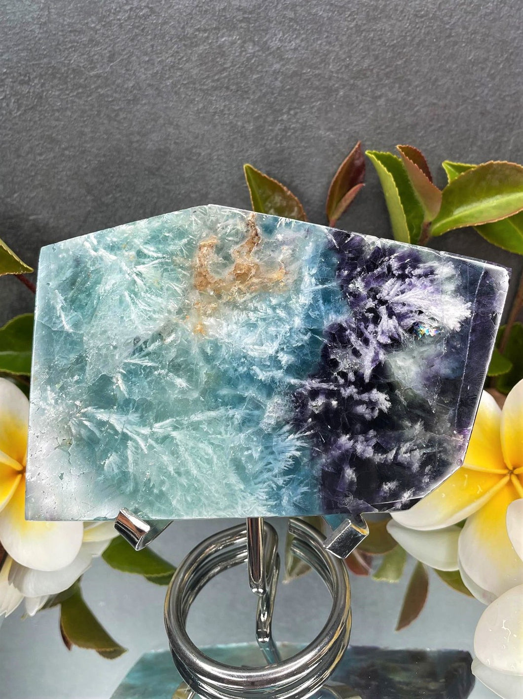 DISCOUNTED Harmony Snowflake Fluorite Crystal Slab