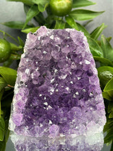 Load image into Gallery viewer, Harmony Amethyst Crystal Cluster Geode
