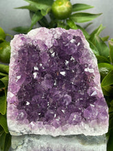 Load image into Gallery viewer, Serenity Amethyst Crystal Cluster Geode
