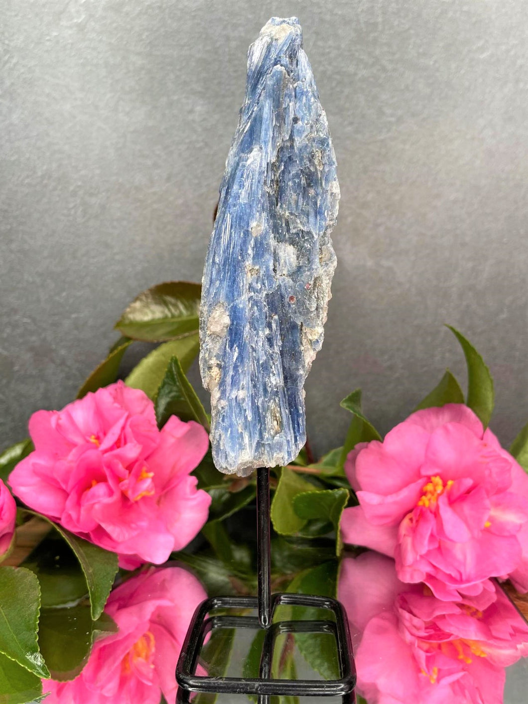 Beautiful Kyanite Rough Stone On Fixed Stand