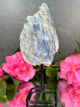 Load image into Gallery viewer, Healing Natural Kyanite Crystal Rough Stone On Fixed Stand
