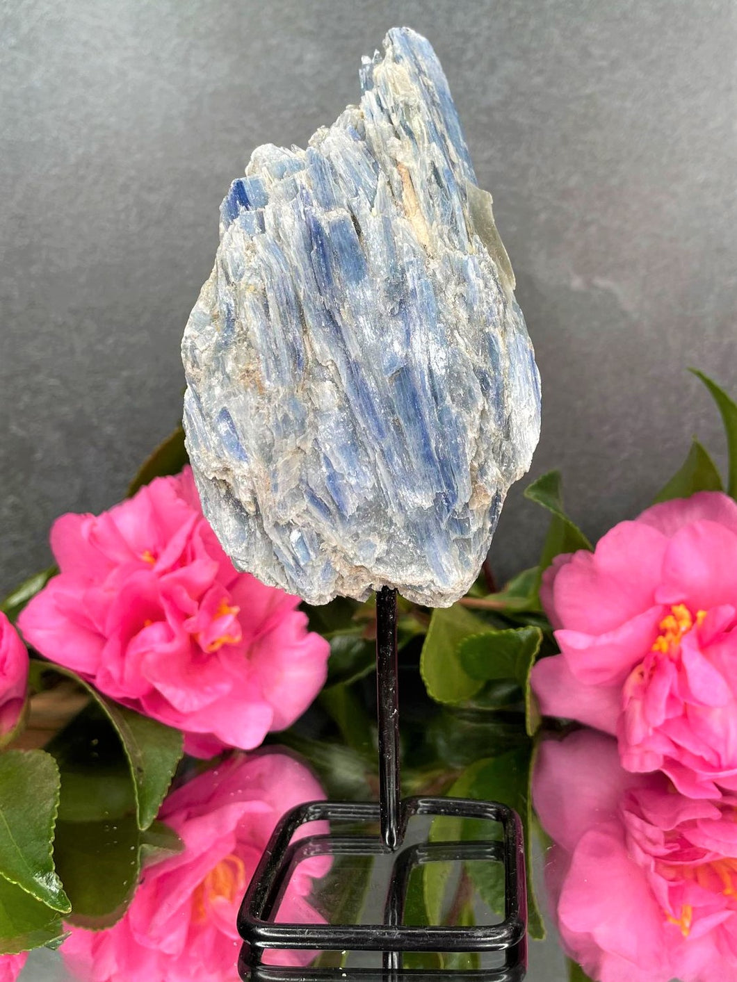 Healing Natural Kyanite Crystal Rough Stone On Fixed Stand
