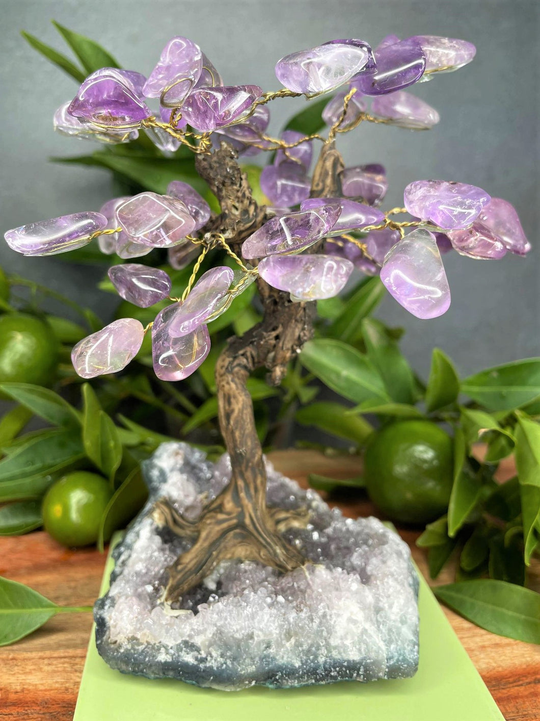 Calming Tree of Life Amethyst Cluster Base Tumble Leaves