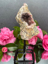 Load image into Gallery viewer, Pink Amethyst Crystal Geode With Druzy On Fixed Stand 25
