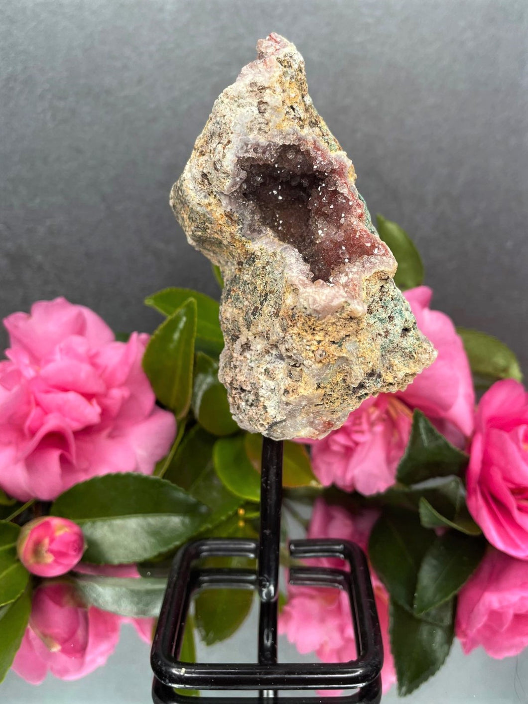 Pink Amethyst Crystal Geode With Druzy On Fixed Stand 25