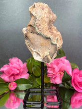 Load image into Gallery viewer, Pink Amethyst Crystal Geode With Druzy On Fixed Stand 44
