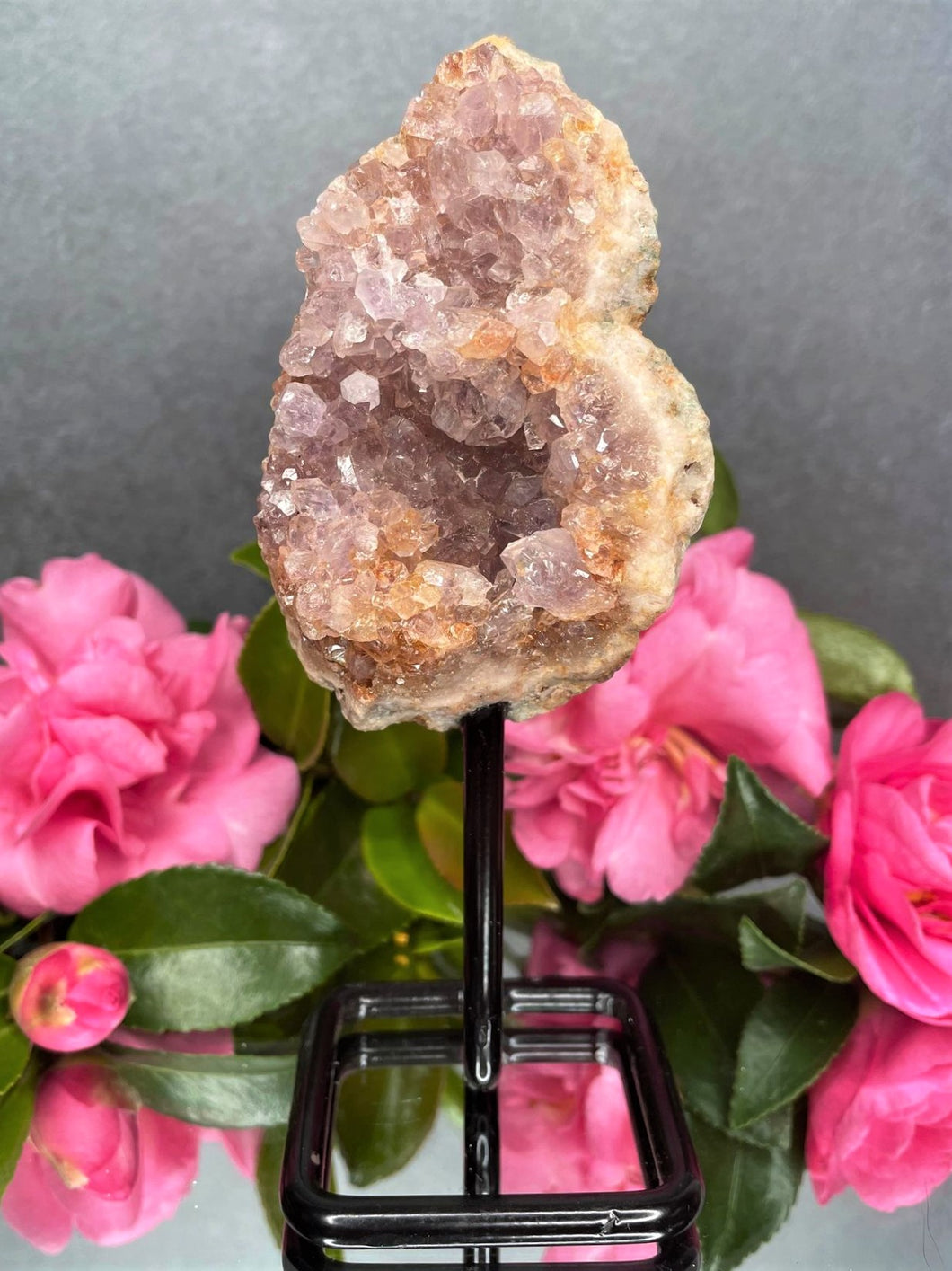 Pink Amethyst Crystal Geode With Druzy On Fixed Stand 14