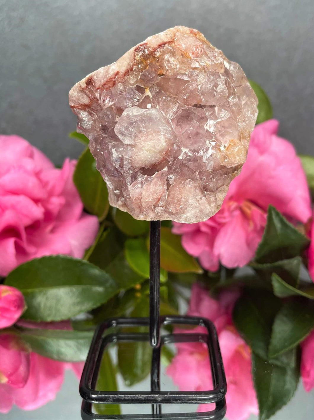 Pink Amethyst Crystal Geode With Druzy On Fixed Stand 07
