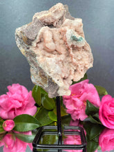 Load image into Gallery viewer, Pink Amethyst Crystal Geode With Druzy On Fixed Stand 46

