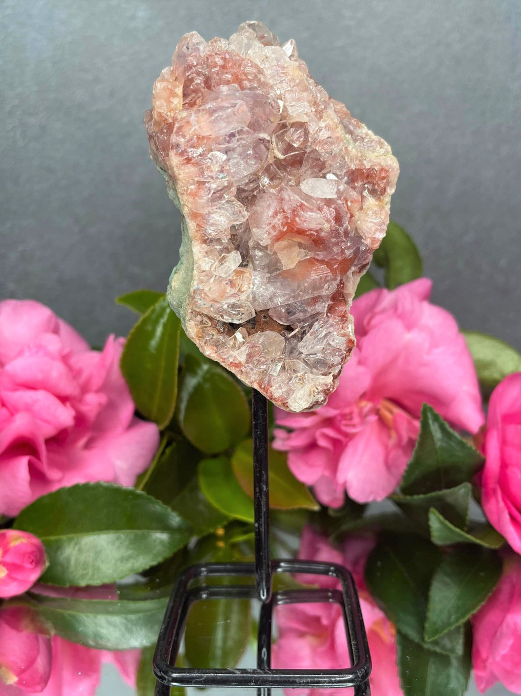 Pink Amethyst Crystal Geode With Druzy On Fixed Stand 11