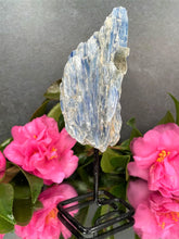 Load image into Gallery viewer, Healing Natural Kyanite Crystal Rough Stone On Fixed Stand
