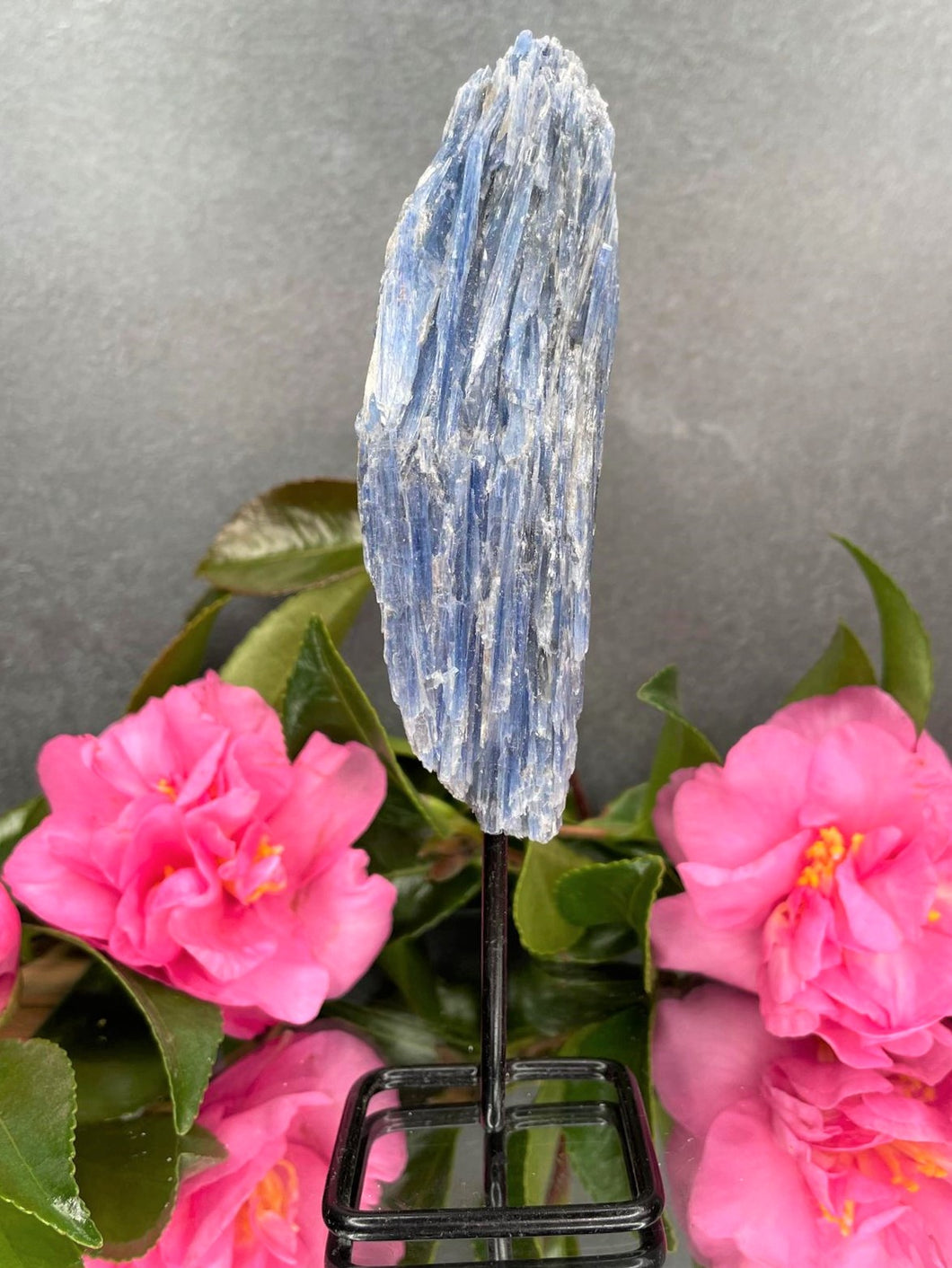 Healing Kyanite Crystal Rough Stone On Fixed Stand