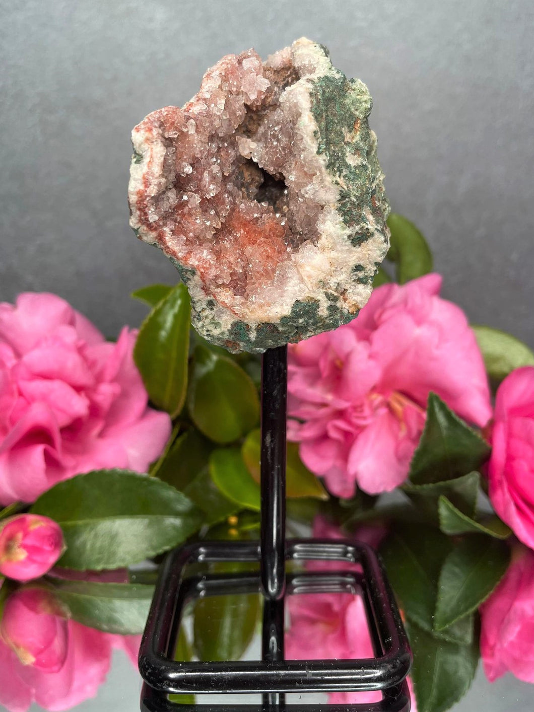 Pink Amethyst Crystal Geode With Druzy On Fixed Stand 18