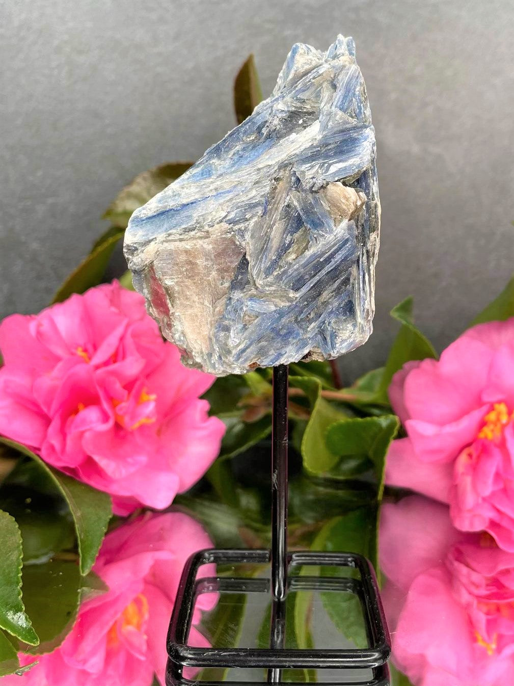 Chakra Healing Kyanite Crystal Rough Stone On Fixed Stand