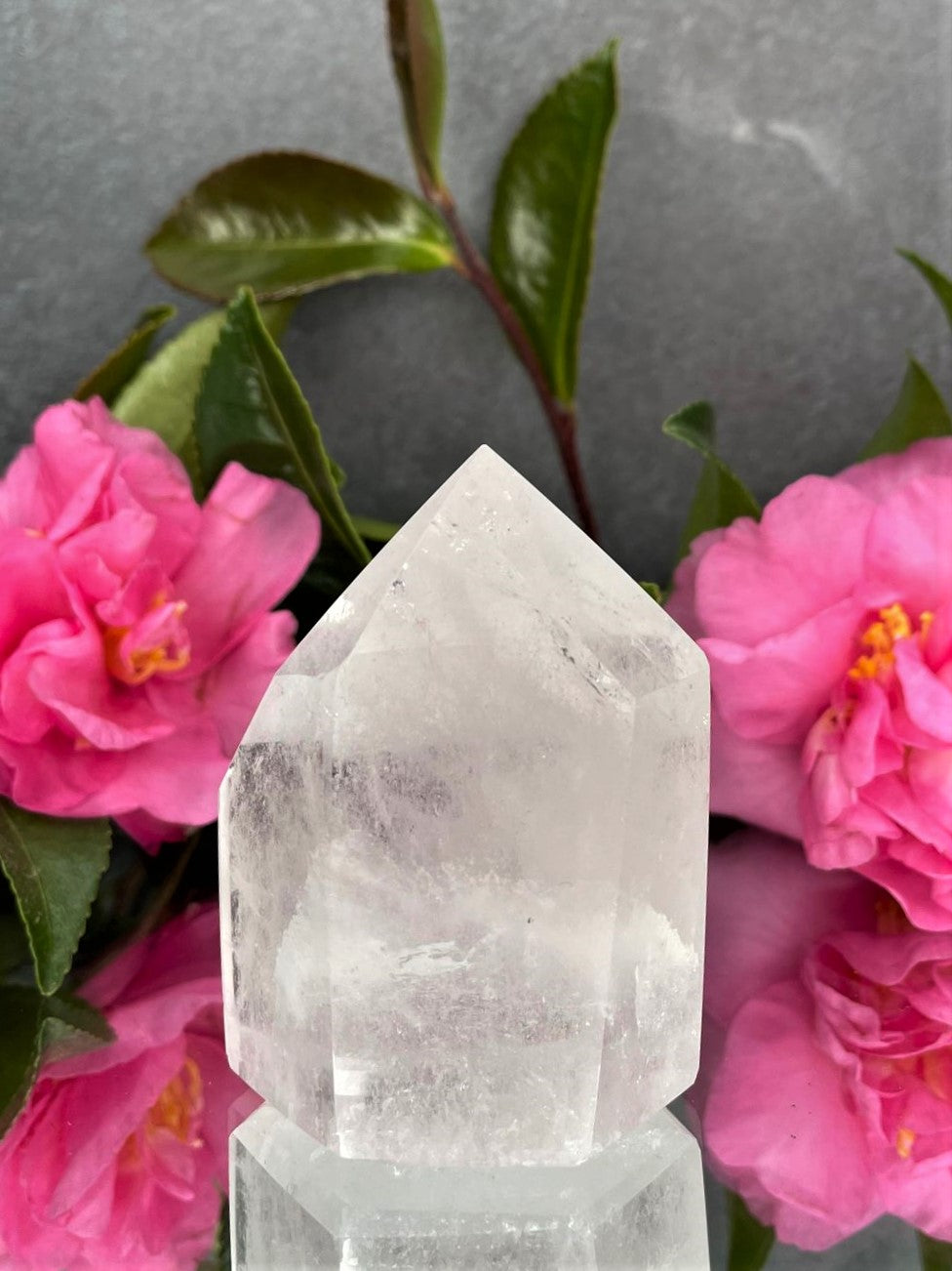 Natural Clear Quartz Point Crystal