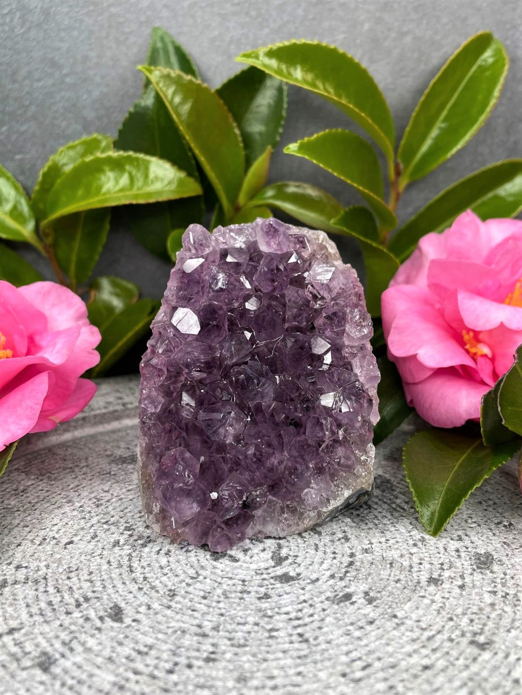 Stunning Amethyst Geode Healing Crystal Cluster