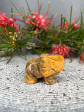 Load image into Gallery viewer, Crazy Lace Agate Elephant Crystal Carving
