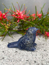 Load image into Gallery viewer, Stunning Sodalite Bird Crystal Carving
