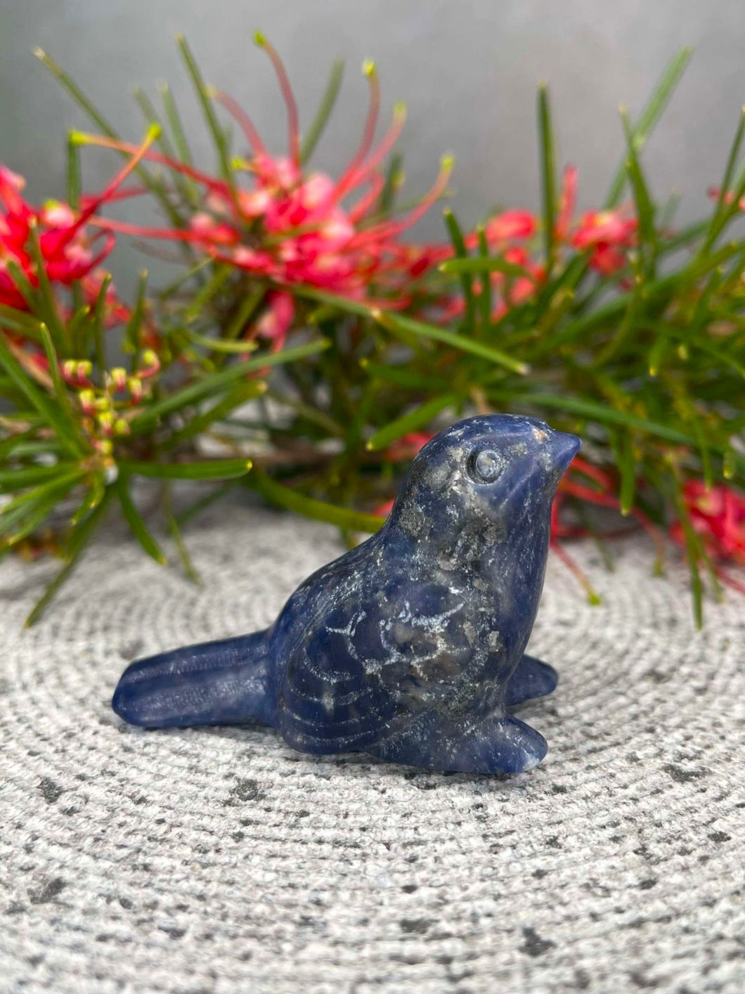 Stunning Sodalite Bird Crystal Carving