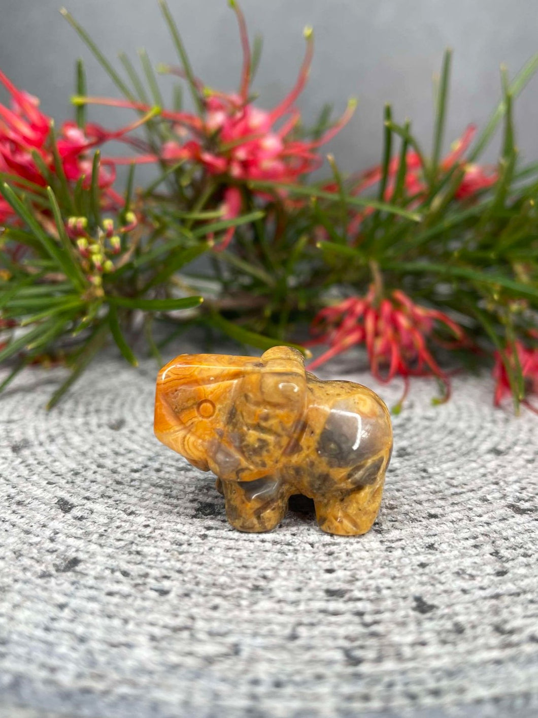 Crazy Lace Agate Elephant Crystal Carving