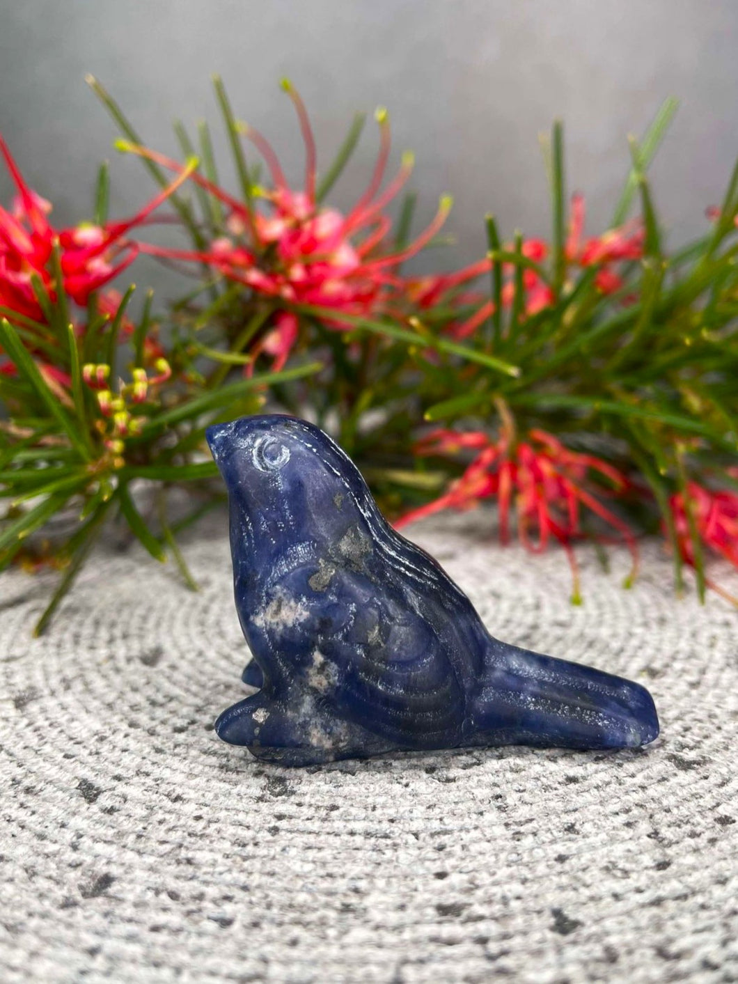 Sodalite Bird Crystal Carving