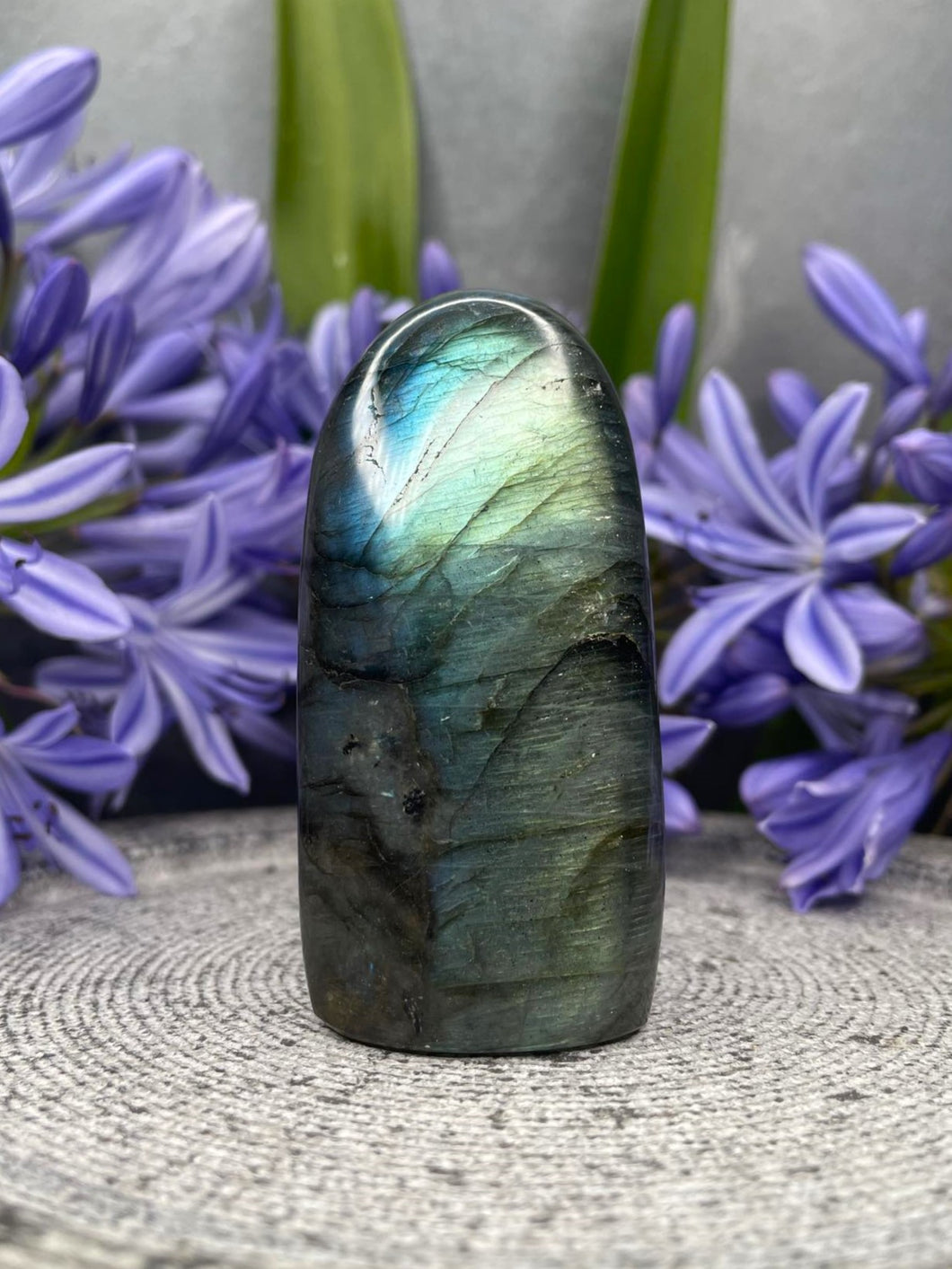 Growth Labradorite Crystal Freeform With Blue Green Flash