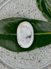 Load image into Gallery viewer, Soft 8th Vein Ocean Jasper Crystal Palmstone
