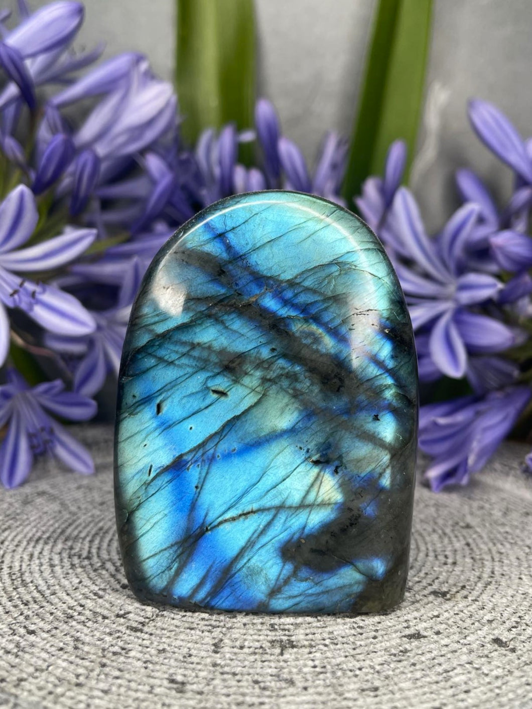 Third Eye Labradorite Crystal Freeform With Blue Flash