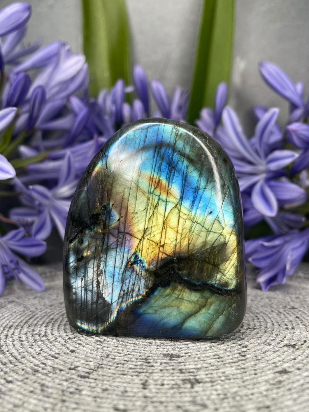 Mesmerizing Labradorite Crystal Freeform With Rainbow Flash