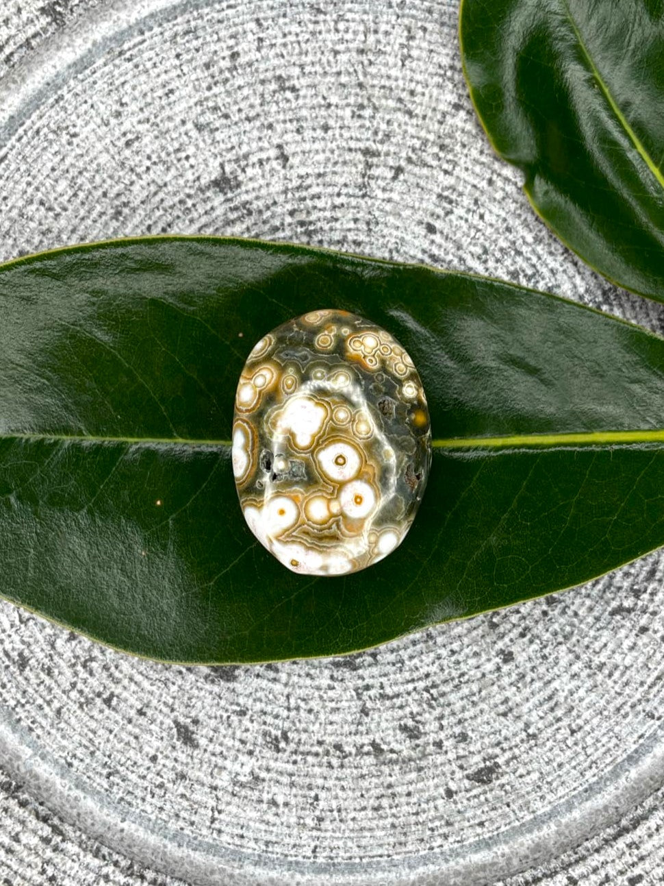 Pretty 8th Vein Ocean Jasper Crystal Palmstone