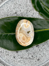 Load image into Gallery viewer, Astounding 8th Vein Ocean Jasper Crystal Palmstone

