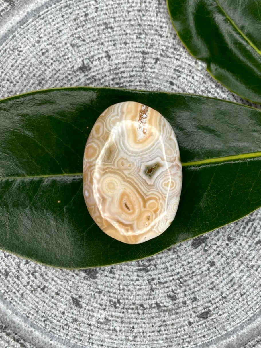 Astounding 8th Vein Ocean Jasper Crystal Palmstone