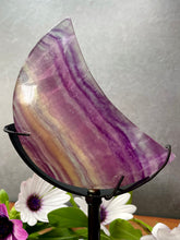 Load image into Gallery viewer, Magnificent Candy Fluorite Crescent Moon With Black Stand
