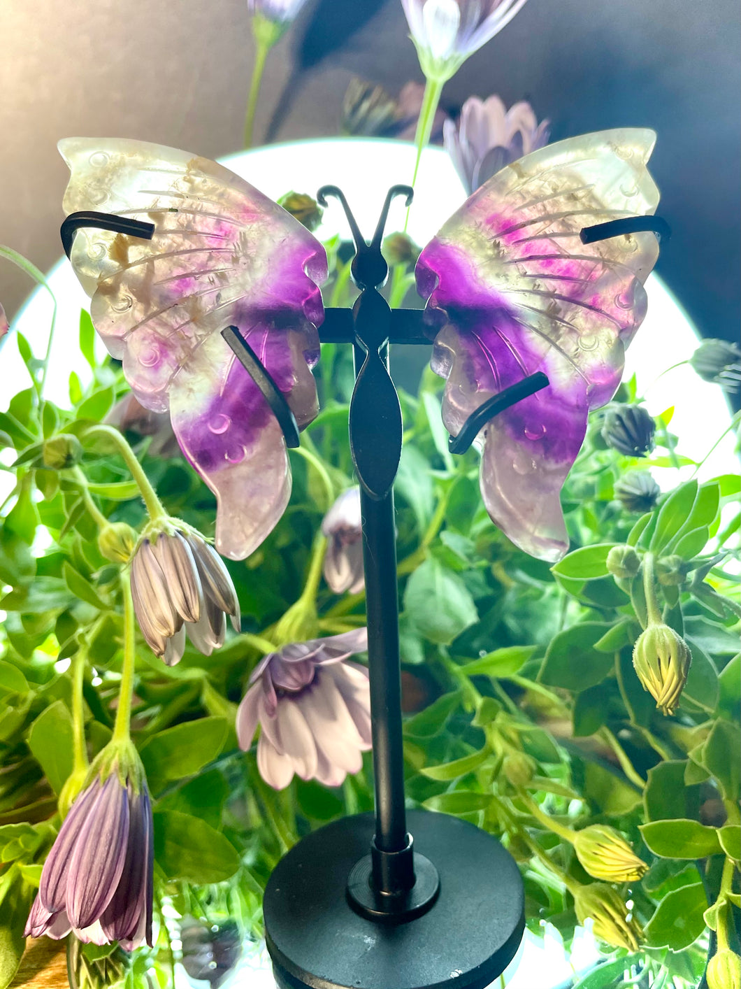Beautiful Mini Fluorite Crystal Butterfly Wings