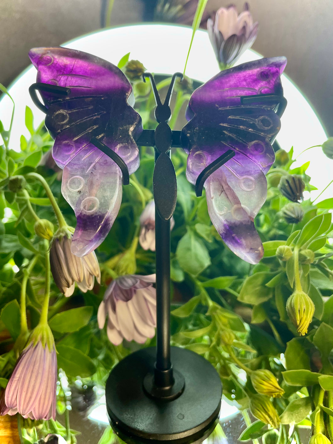 Pretty Mini Fluorite Crystal Butterfly Wings With Stand