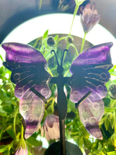Load image into Gallery viewer, Pretty Mini Fluorite Crystal Butterfly Wings With Stand
