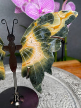 Load image into Gallery viewer, Sea Jasper Crystal Butterfly Wings On Stand

