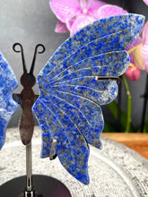 Load image into Gallery viewer, Lapis Lazuli Crystal Butterfly Wings On Stand
